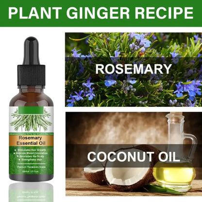 Organic Rosemary Oil